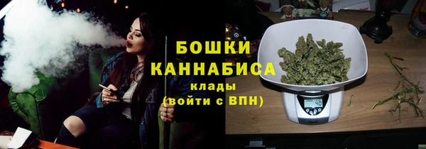 молекула духа Приозерск