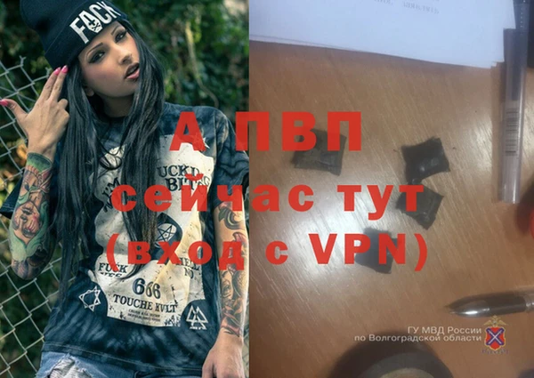 молекула духа Приозерск