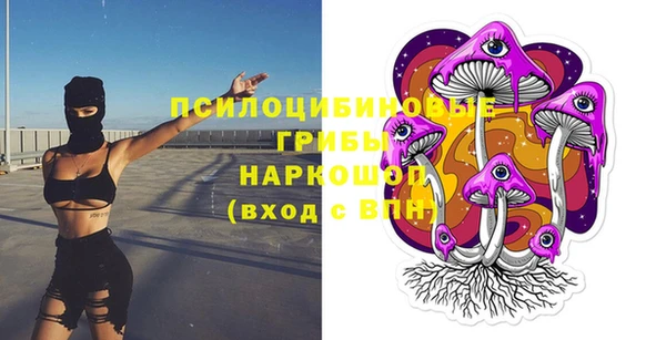 2c-b Мегион