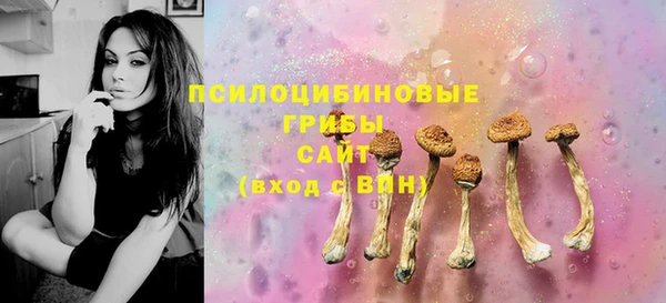 ECSTASY Михайлов