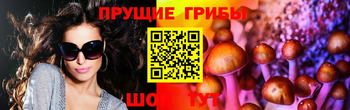 Галлюциногенные грибы Cubensis Ноябрьск