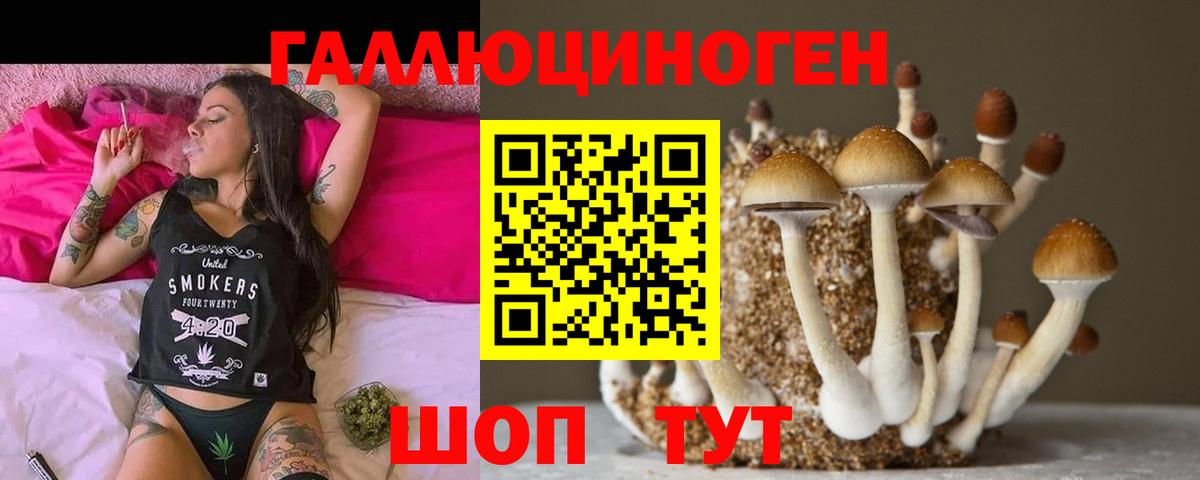 купить наркотики сайты  Вход с VPN  Ноябрьск  Галлюциногенные грибы Psilocybe  Галлюциногенные грибы Psilocybine cubensis 